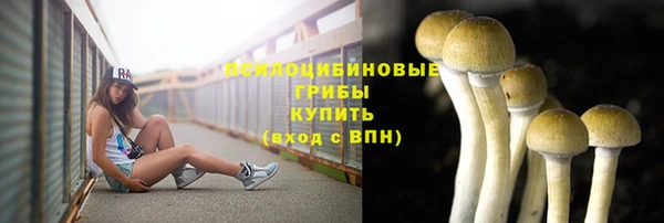 дживик Баксан