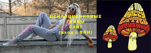 дживик Баксан