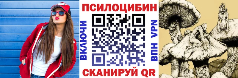 Купить  Гудермес  Псилоцибиновые грибы мухоморы 
